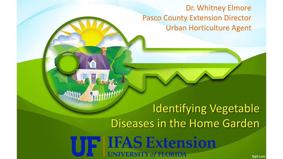 Identifying Vegetable Diseases in the Home Garden Presentation Cover