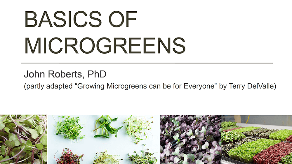 basics of microgreens presentation cover